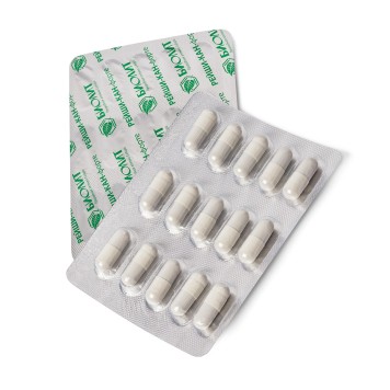 Рейши-Кан-форте, капсулы, 30 шт.-2