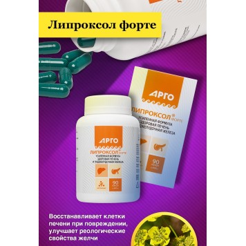 Липроксол форте для печени, 90 капсул-3