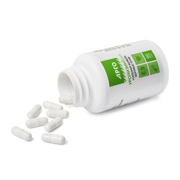 Уролизин-форте, капсулы, 90 шт.-1