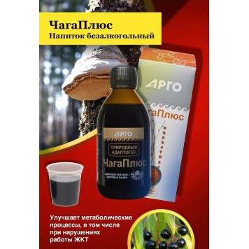 Литовит ЧагаПлюс, напиток, 250 мл-4