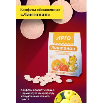 Конфеты обогащенные пробиотические Лактопан, 70 г-1